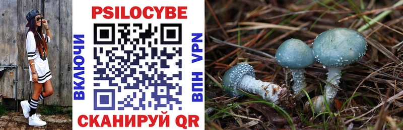 Псилоцибиновые грибы MAGIC MUSHROOMS  где найти наркотики  Камышин 