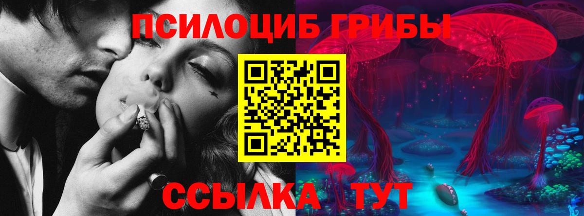 Камышин  Галлюциногенные грибы GOLDEN TEACHER  Галлюциногенные грибы мицелий  Вход с VPN 
