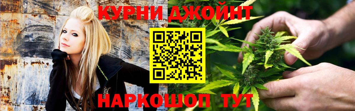 Бошки марихуана план Камышин