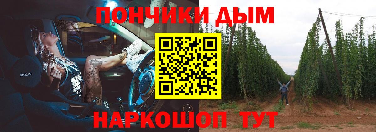 Каннабис планчик  Вход с VPN  Конопля Bruce Banner  МАРИХУАНА Amnesia  Камышин  Конопля конопля 