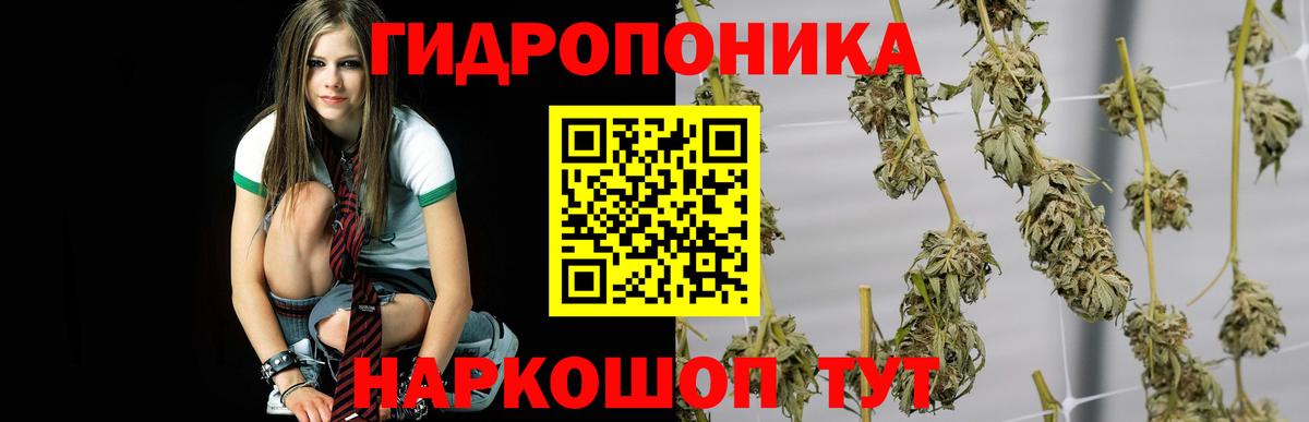 Бошки марихуана гибрид Камышин
